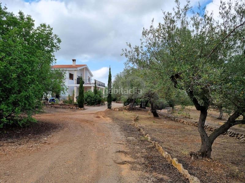 Foto 31566e5a-f741-4c0e-bb74-3d4520f61c48. Haus mit pool in Avinguda Catalunya Sant Carles de la Ràpita