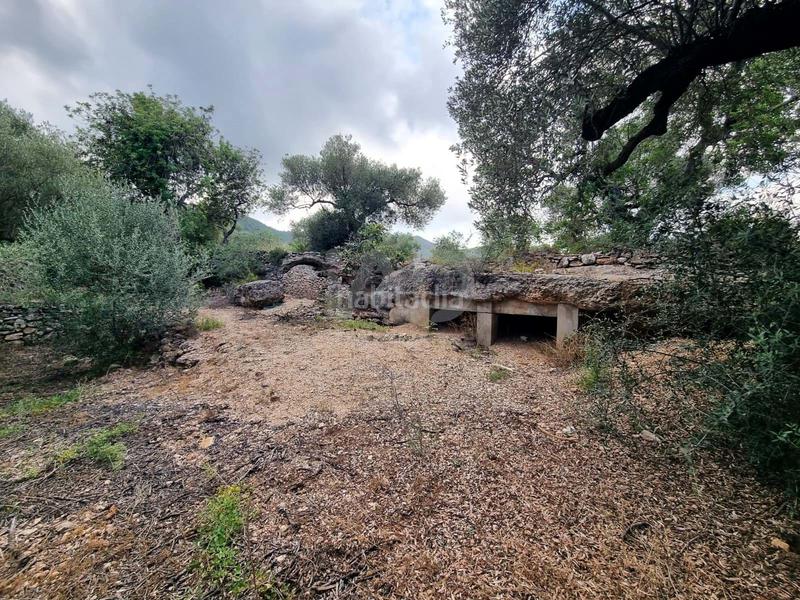 Foto 40f47b6f-15b3-45a9-9f76-6eca31230ddd. Haus mit pool in Avinguda Catalunya Sant Carles de la Ràpita