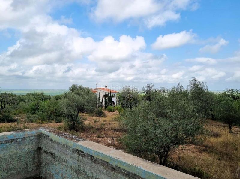 Foto 6f3b1803-1a2d-4be9-a2af-fdc82e3b7a94. Haus mit pool in Avinguda Catalunya Sant Carles de la Ràpita