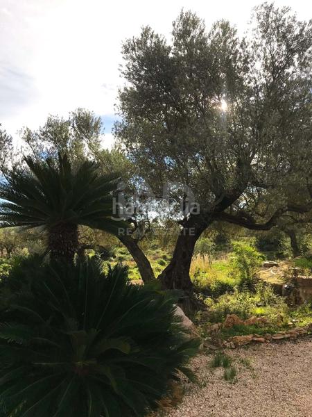 Foto 7ec5c339-0d83-4ed3-9302-c31dc7ed4e93. Haus mit pool in Avinguda Catalunya Sant Carles de la Ràpita