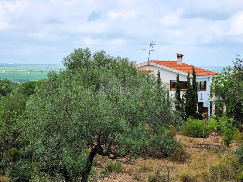 Foto c870862a-4d14-410c-8f7a-90e732d810f9. House with pool in Avinguda Catalunya Sant Carles de la Ràpita