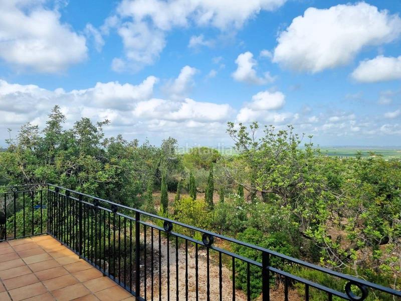 Foto e67a892b-9c46-48ba-b56c-90c6647fbecf. House with pool in Avinguda Catalunya Sant Carles de la Ràpita