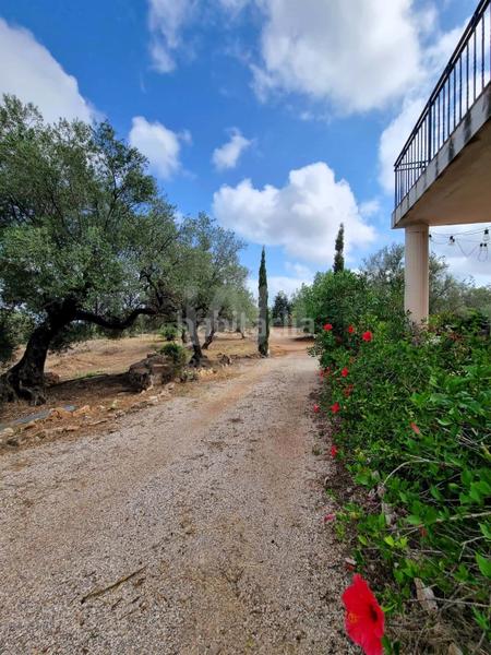 Foto 1fec5a25-1bb2-41f7-ac44-e0ea97be6c26. Maison avec piscine dans Avinguda Catalunya Sant Carles de la Ràpita
