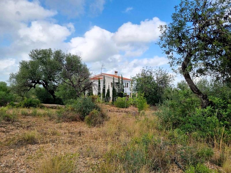 Foto 4128dcce-1265-48f1-89eb-3662d353d7ee. Maison avec piscine dans Avinguda Catalunya Sant Carles de la Ràpita