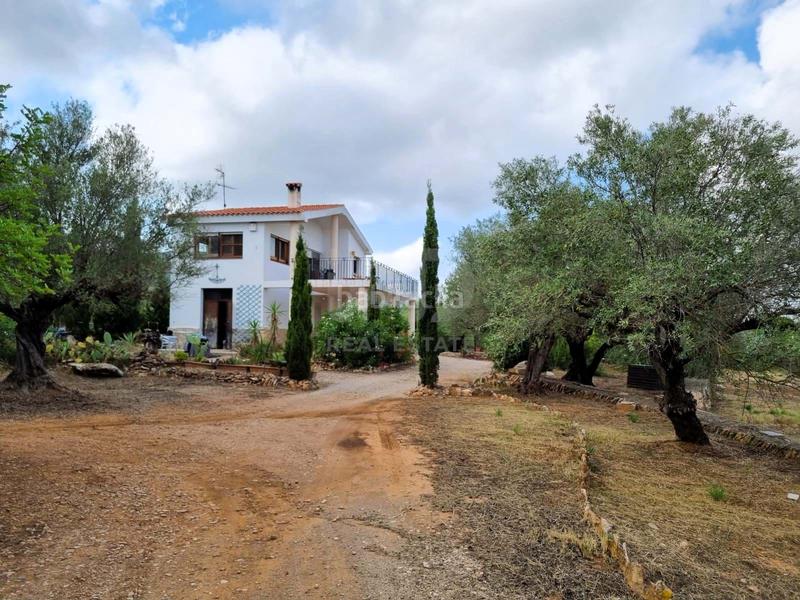 Foto 45869030-7e1b-4187-a5c7-9af1c91a488d. Maison avec piscine dans Avinguda Catalunya Sant Carles de la Ràpita