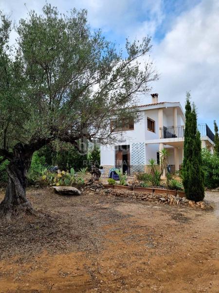 Foto 58348c39-054a-4198-b562-f9a3c992d699. Maison avec piscine dans Avinguda Catalunya Sant Carles de la Ràpita