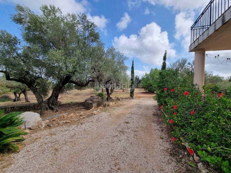 Foto 83220274-a629-4fcb-9ab8-23d716a171c9. Maison avec piscine dans Avinguda Catalunya Sant Carles de la Ràpita