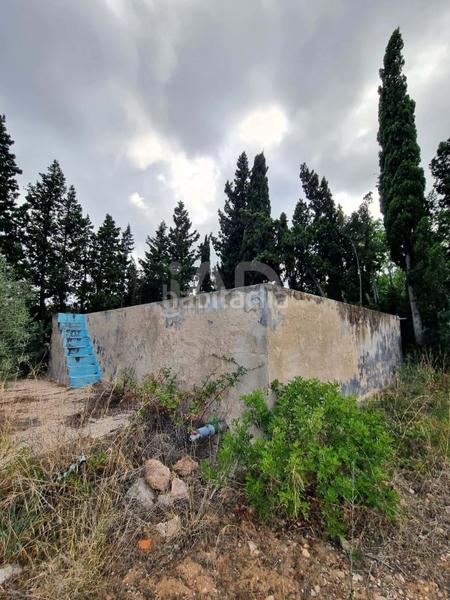 Foto 854364ad-1477-486f-ad22-5977d702bbb4. Maison avec piscine dans Avinguda Catalunya Sant Carles de la Ràpita