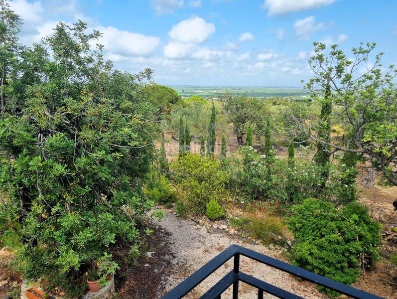 Foto c0ff6646-6b10-4545-8a0c-0c1cf0a9f534. Maison avec piscine dans Avinguda Catalunya Sant Carles de la Ràpita