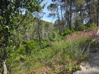 Terreny residencial a Olesa de Bonesvalls