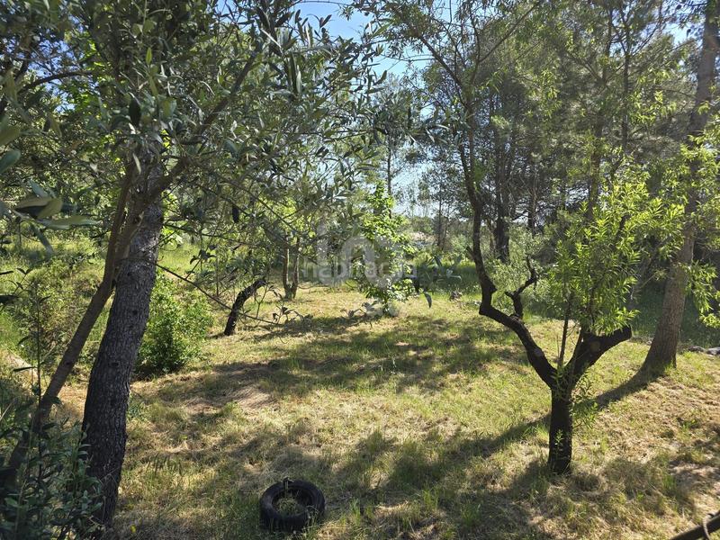 Foto 4c47fa28-6477-4a76-b44c-13fd16c060a5. Casa en Vall de Gallinera