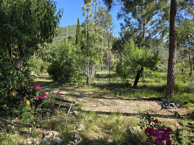 Foto ed3a1690-39ad-42b4-b377-f17fcdf52c74. Casa en Vall de Gallinera
