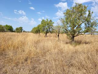 Terreno residenziale in Santa María del Camí