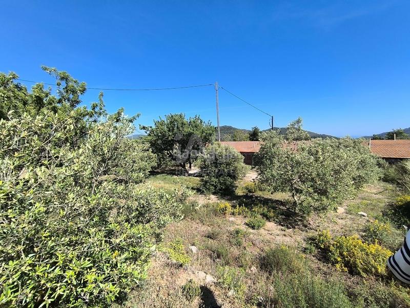 Foto 131573f1-dd87-4703-8654-a1e43c3025b8. Terreno residencial en carretera tp-7013 39 39 en Alforja