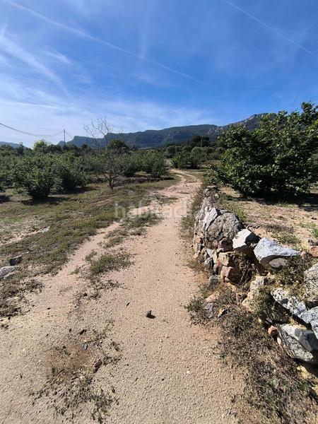 Foto 83f3d552-60df-4472-b167-683a6e118f24. Terreno residencial en carretera tp-7013 39 39 en Alforja