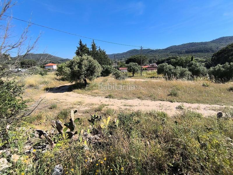 Foto 9fefe27c-3284-470a-a67f-79cedb90c36b. Residential plot in carretera tp-7013 39 39 in Alforja