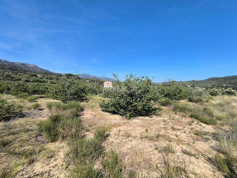 Foto bd711c28-b3b3-472d-a7ee-7c7ebbd60a8b. Residential plot in carretera tp-7013 39 39 in Alforja