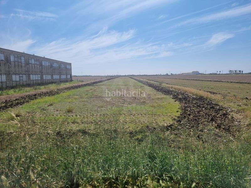 Foto 71918d41-fff9-4682-be30-64cddc8a3ebb. Terreny residencial a Deltebre