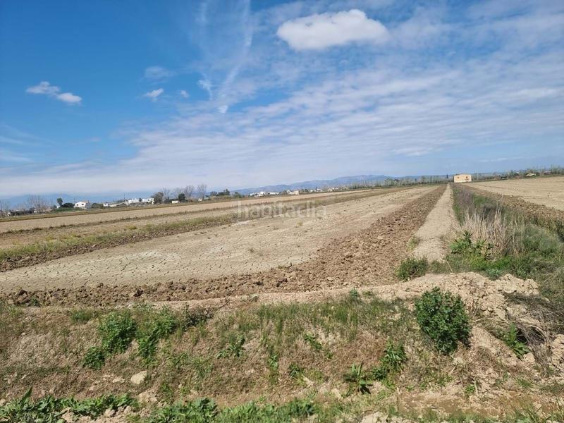 Foto 7a6c945d-eaec-4ede-a29c-e73a2ba6b6b7. Terreny residencial a Deltebre