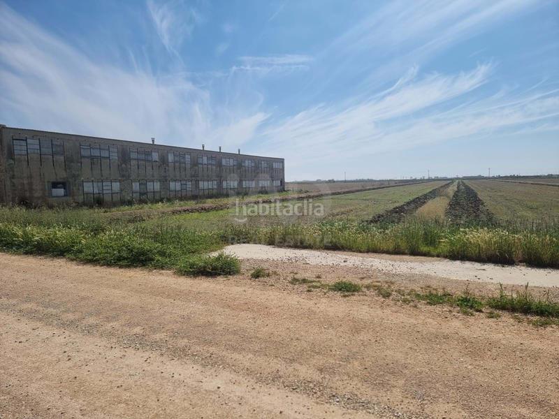 Foto a66332a8-e59d-4dad-a3ed-936d09a8e720. Terreny residencial a Deltebre