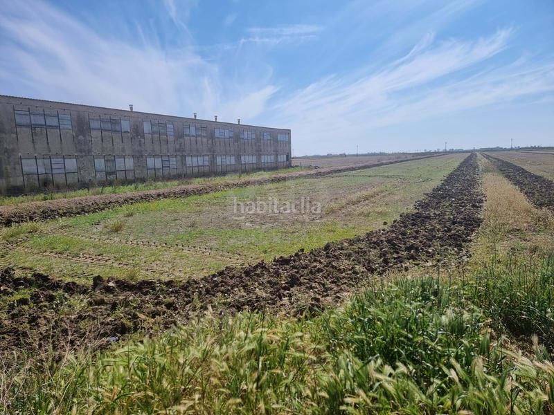 Foto 1950514d-c64d-4e41-b18d-366bca487a39. Residential plot in Deltebre