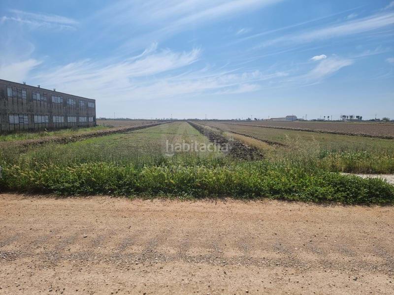 Foto e6f76460-8f16-4740-a1b5-6cbcc01baf19. Residential plot in Deltebre