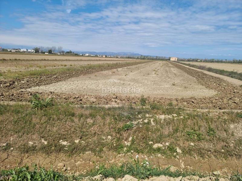 Foto 32d53fec-aa4e-4afd-809f-0d3e93d9befa. Wohngrundstück in Deltebre