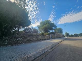 Terreno residenziale in Santa Oliva