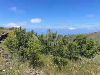 Residential Plot in La Quinta - Taucho
