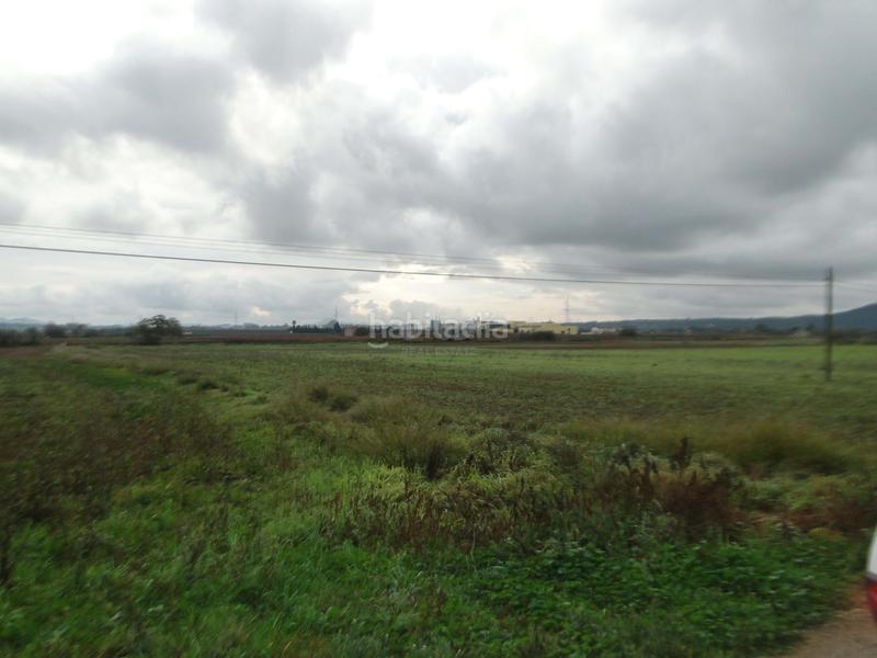 Foto 47df9301-1658-4d9e-949f-9273f0322af9. Casa amb calefacció aparcament piscina a Ariany