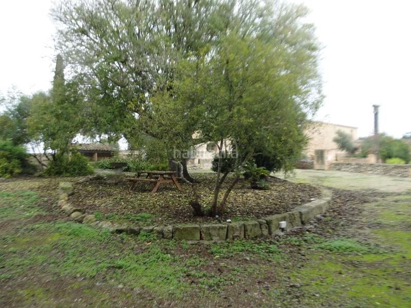 Foto 6e8ff392-d201-4eb1-ac5f-67ecb966532f. Casa amb calefacció aparcament piscina a Ariany