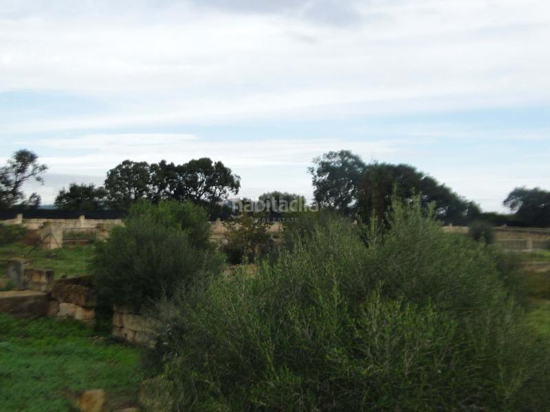 Foto a914207d-3233-464e-a217-ec855a0c6384. Casa amb calefacció aparcament piscina a Ariany