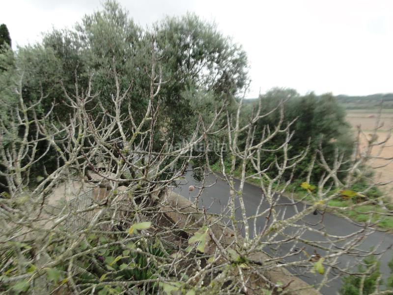 Foto eea9cca1-ee34-4ebc-8fb7-3db1c875c1df. Casa amb calefacció aparcament piscina a Ariany