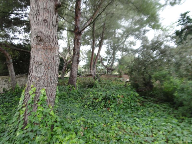 Foto f9df9618-2754-4db7-a15e-ff07dd99c347. Casa amb calefacció aparcament piscina a Ariany