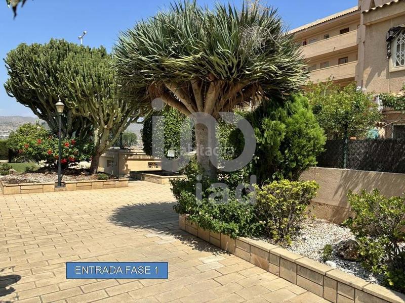 Foto 06acc113-628c-42a4-ba45-0bf5cfe6594c. Flat with parking pool in Campello Playa Campello (el)
