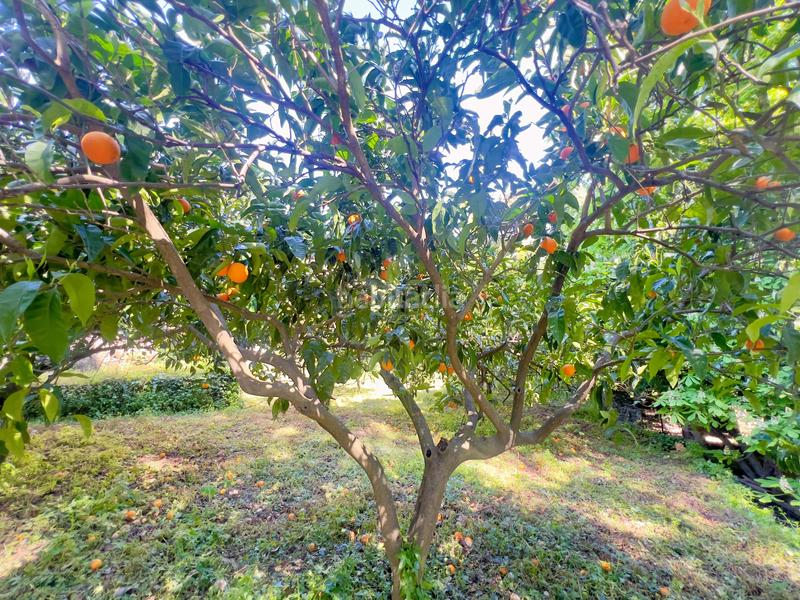 Foto 0d88285f-19a4-44a7-b63d-930a2469b959. Edificio en Gata