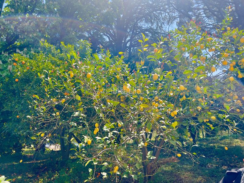 Foto c7c75b99-8264-4717-9cab-3fcf227c5960. Edificio en Gata