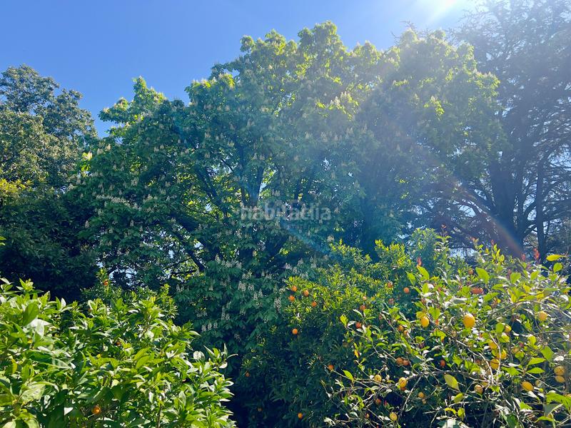 Foto c8104f42-516b-4b7e-8611-60e48a691660. Edificio en Gata