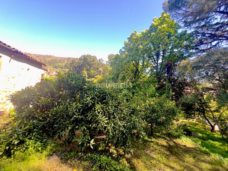 Foto 8cce366d-aba8-420d-9e38-07db8b1e7e4a. Edifici a Gata