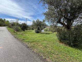 Terreno residencial en Ascó