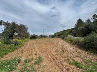 Residential Plot in Ascó