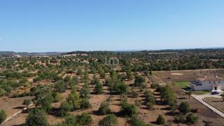 Terreno residenziale in Marratxinet
