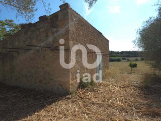 Terreny residencial a Muro