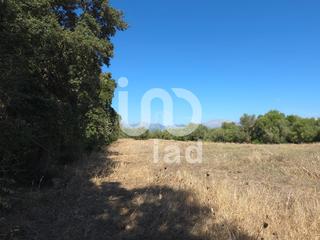 Terreno residencial en Muro