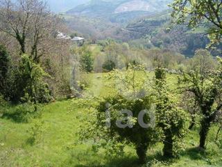 Casa in Nogais (As)