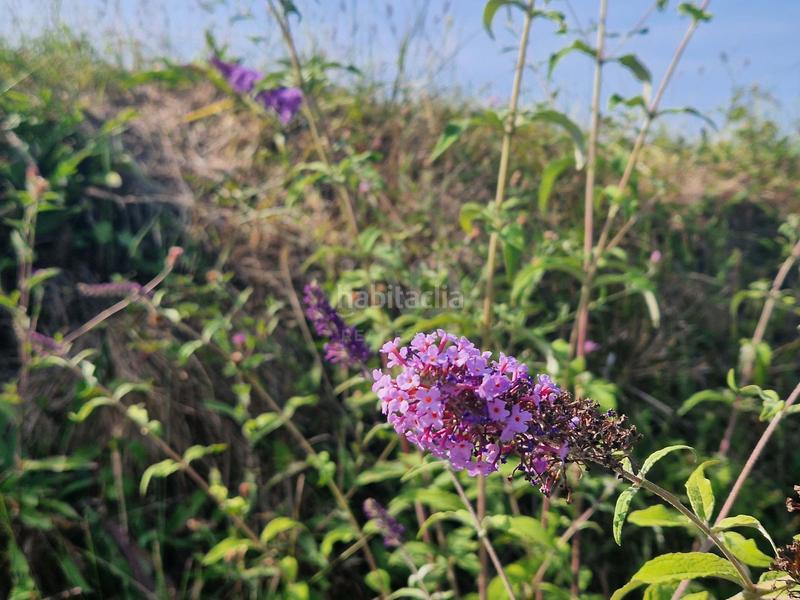 Foto 8ab8a972-a60c-4b1d-9deb-c294a480c132. Terrain résidentiel dans Porceyo Gijón