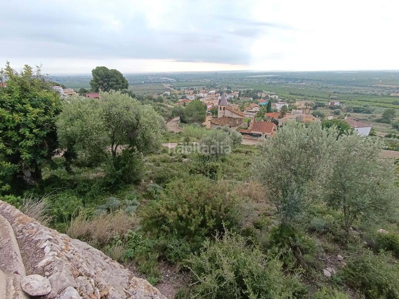 Foto f4c10175-6ca2-43c6-89a9-f6b778f5215b. Terrain résidentiel dans calle del gregal 102 102 dans Vinaròs