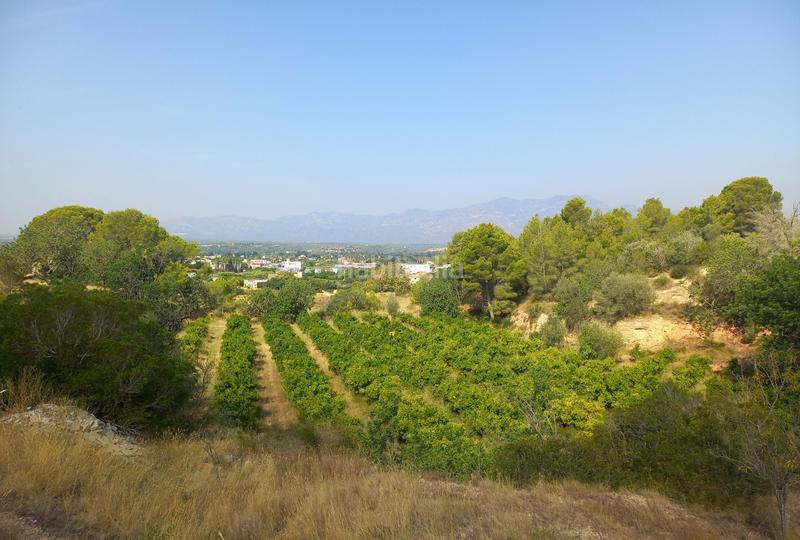 Foto 909b0c41-3f83-49e8-b730-06574c33e726. Building in cami 5 carretera vella de barcelona 5 in Tortosa