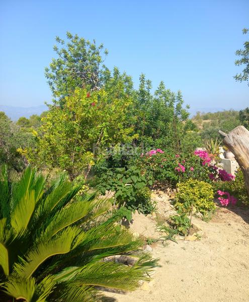 Foto dc4d694e-7c29-403e-9af8-cac0cc6b81da. Gebäude in cami 5 carretera vella de barcelona 5 in Tortosa