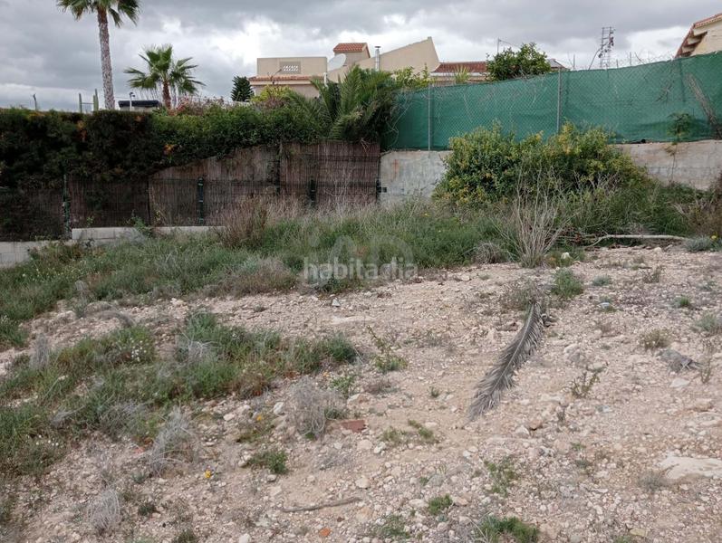 Foto 8642432d-4003-4ab2-983e-f3064c7cc281. Terreny residencial a San Fulgencio